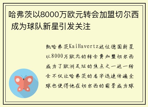 哈弗茨以8000万欧元转会加盟切尔西 成为球队新星引发关注 哈弗茨以8000万欧元转会加盟切尔西 成为球队新星引发关注